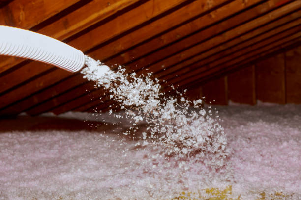 Best Batt and Roll Insulation  in East Lake, FL